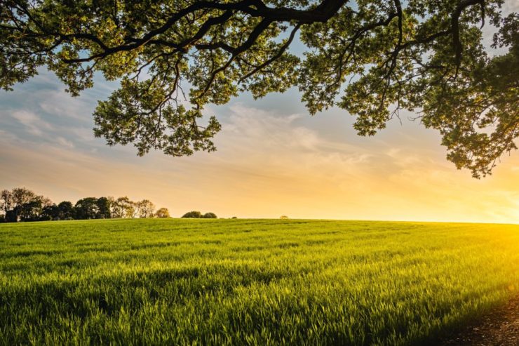 Vacant Land Appraisals Vacant Land Appraisals
